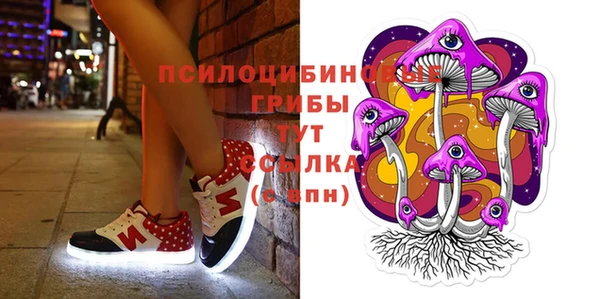 ПСИЛОЦИБИНОВЫЕ ГРИБЫ Алексеевка