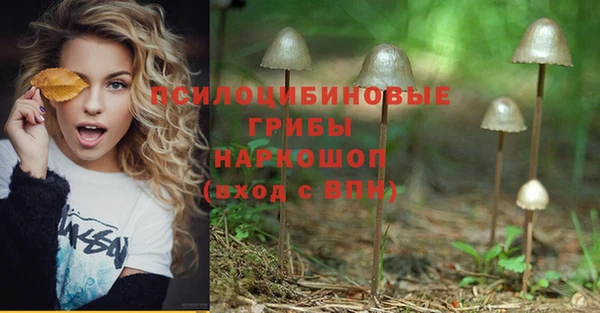альфа пвп Саяногорск