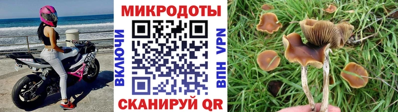 Галлюциногенные грибы мицелий  Артёмовск 